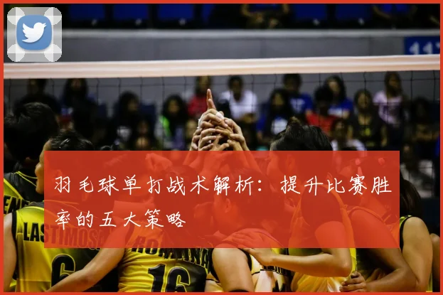 羽毛球单打战术解析：提升比赛胜率的五大策略