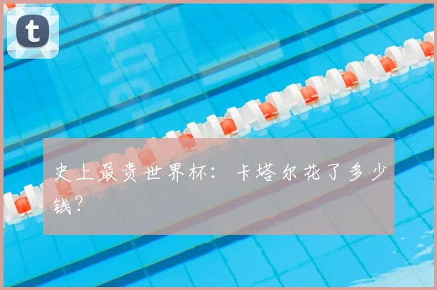 史上最贵世界杯：卡塔尔花了多少钱？